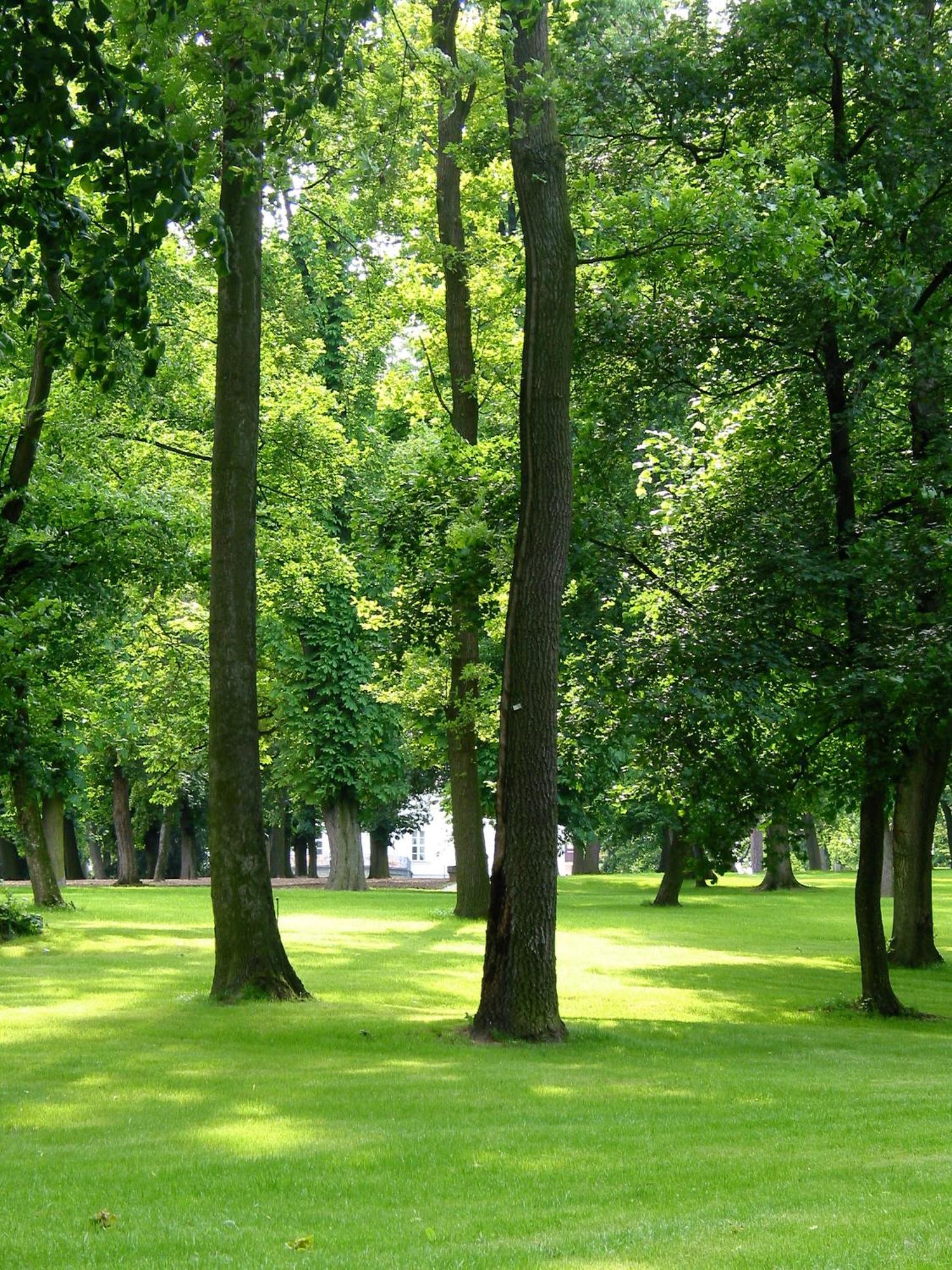 Park Hotel Tartuf Beladice Buitenkant foto